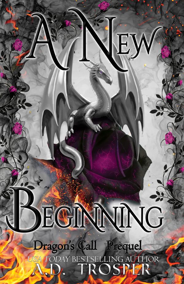 A New Beginning Book Cover