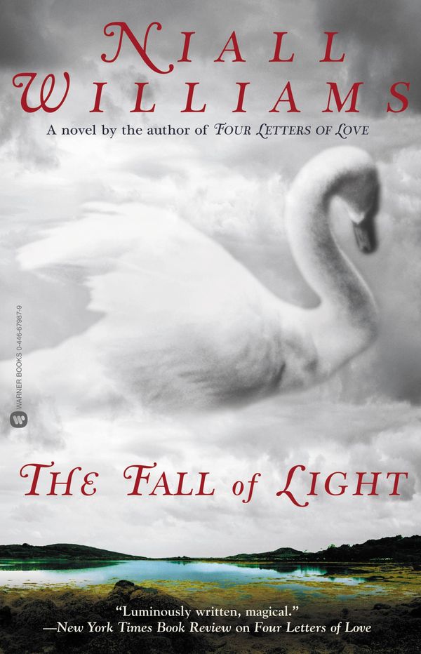 The Fall of Light Book Cover