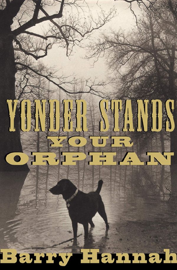 Yonder Stands Your Orphan Book Cover