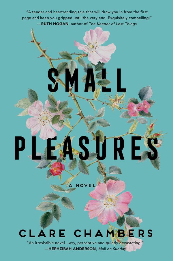 Small Pleasures Book Cover