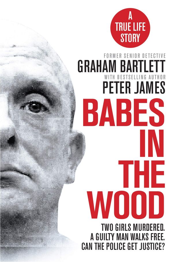 Babes in the Wood Book Cover