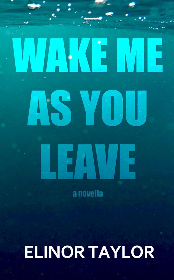 Wake Me as You Leave Book Cover