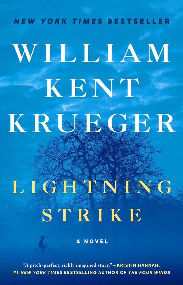 Lightning Strike Book Cover