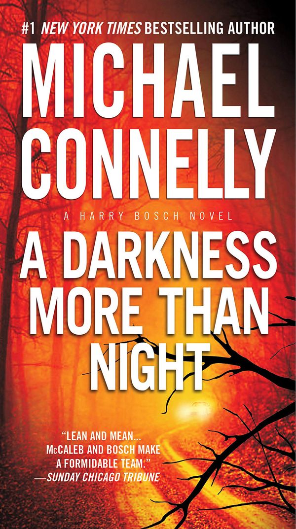 A Darkness More Than Night Book Cover