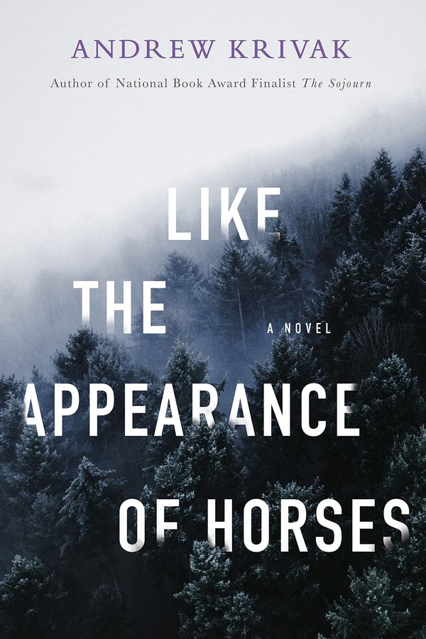 Like the Appearance of Horses cover