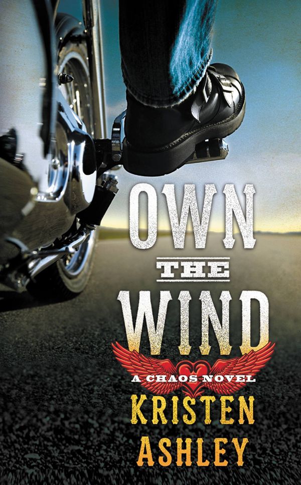Own the Wind Book Cover