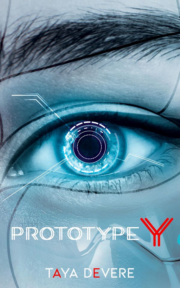 Prototype Y Book Cover