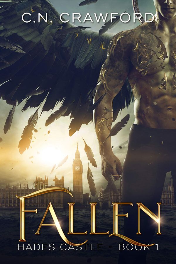 The Fallen Book Cover