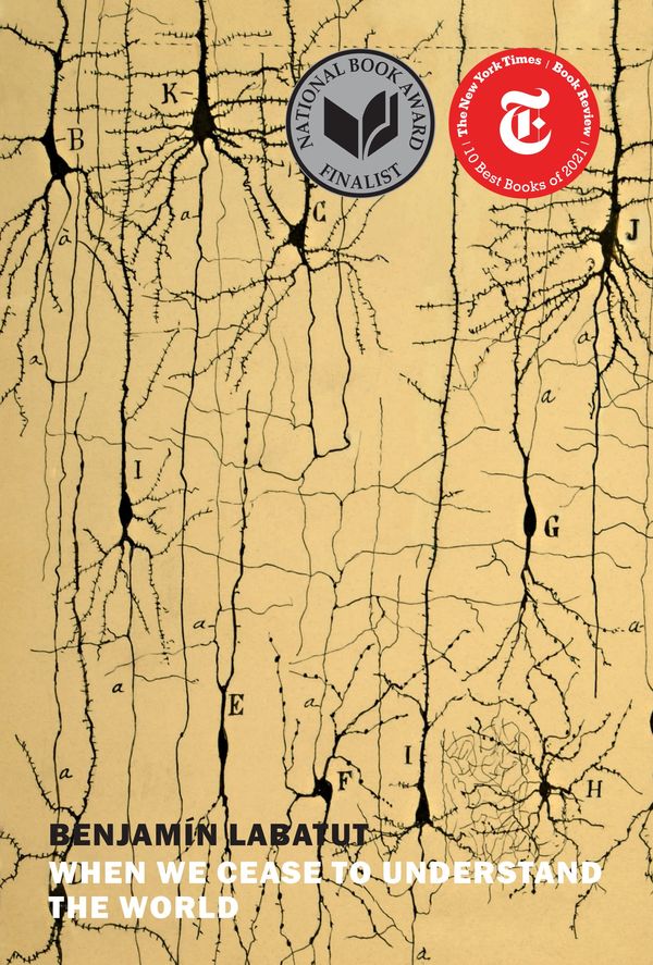 When We Cease to Understand the World Book Cover