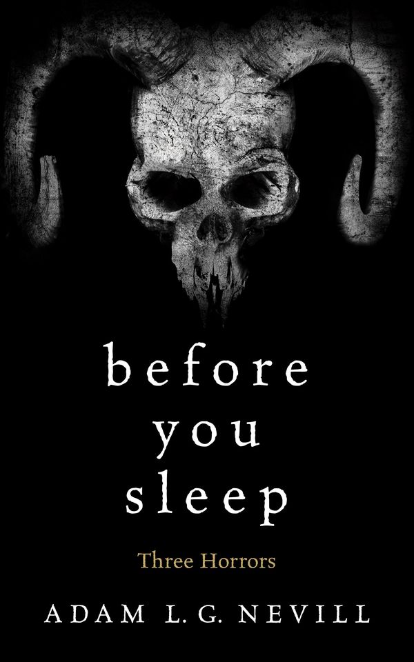 Before You Sleep Book Cover