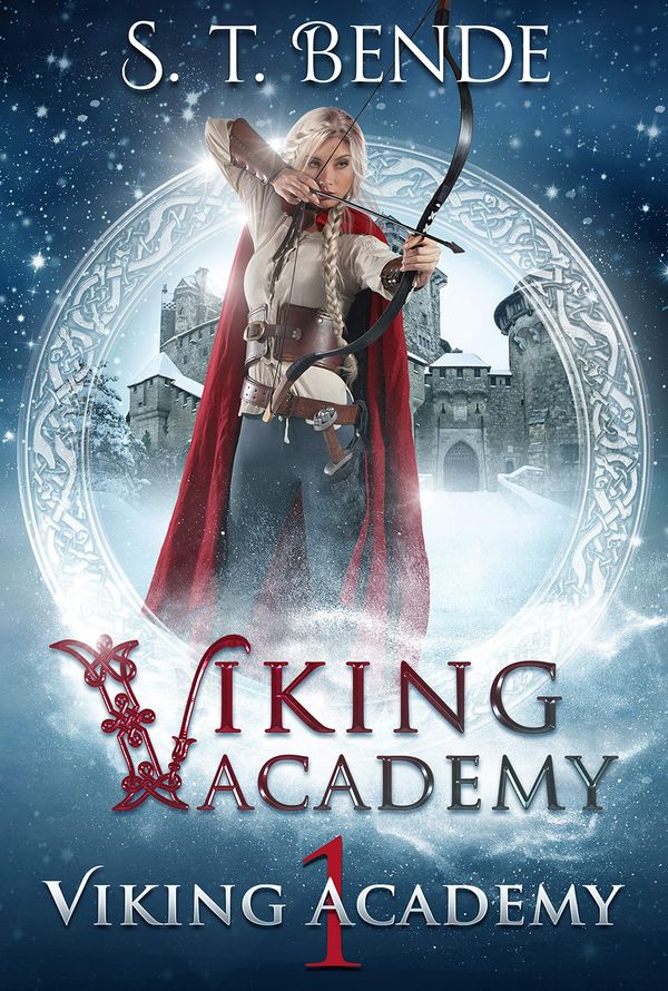 Viking Academy cover