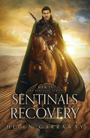 Sentinals Recovery: Book 3.5