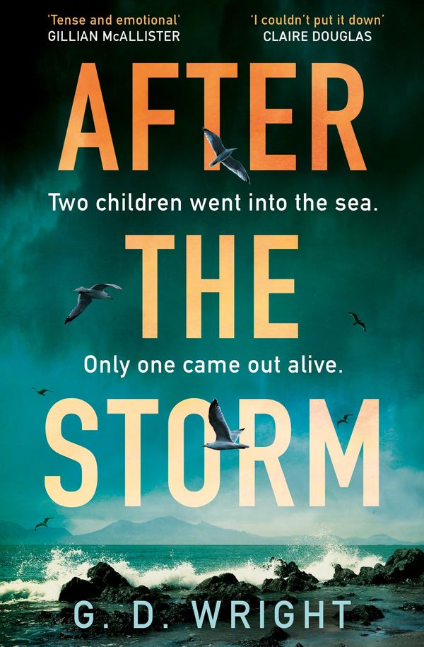 After the Storm Book Cover
