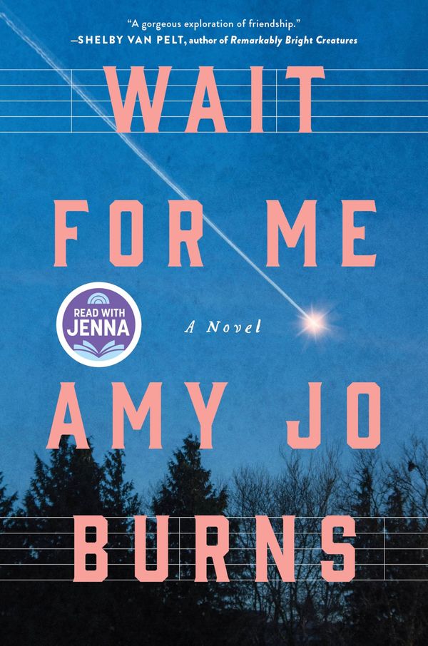 Wait for Me Book Cover