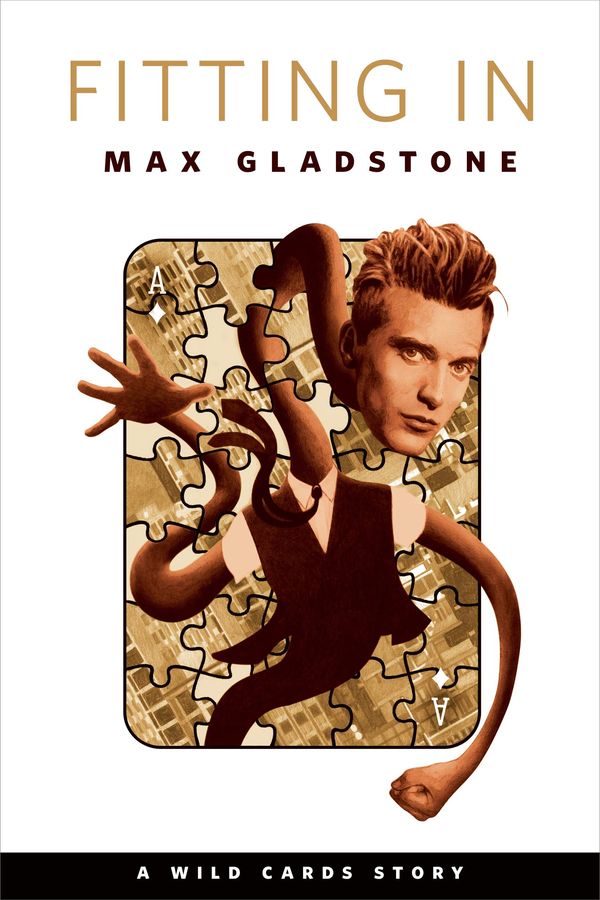 Fitting In Book Cover