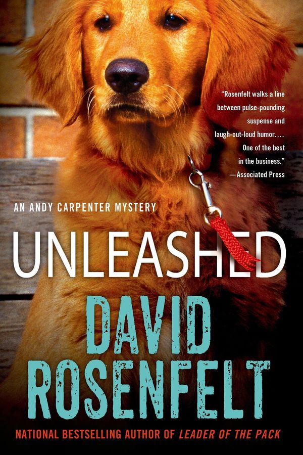 Unleashed Book Cover