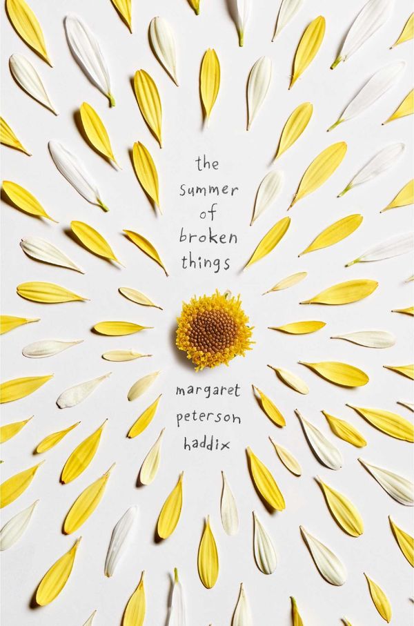The Summer of Broken Things Book Cover