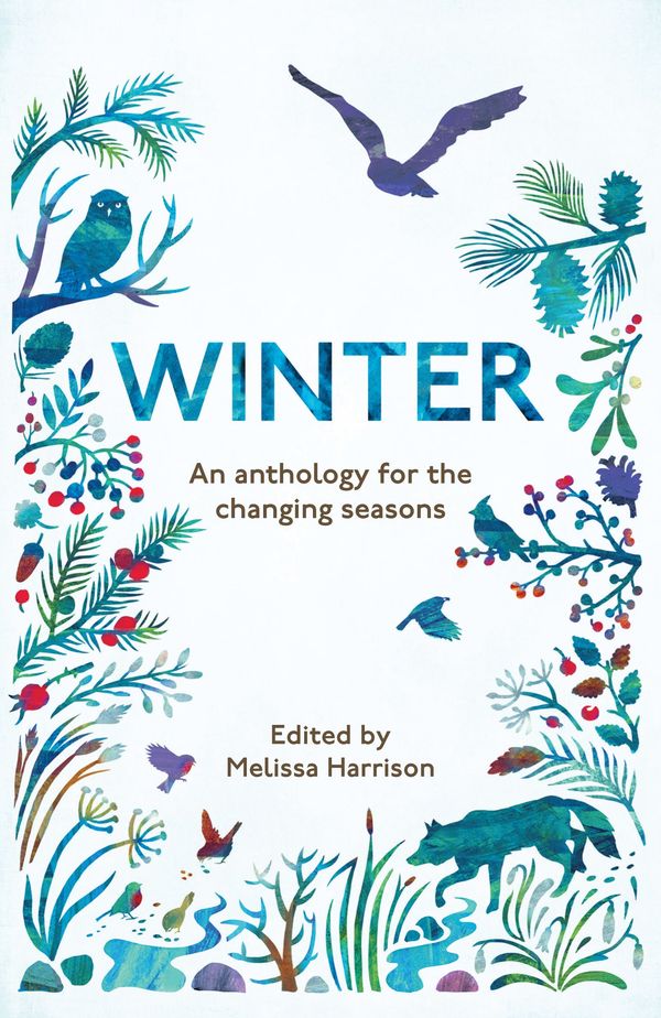 Winter Book Cover