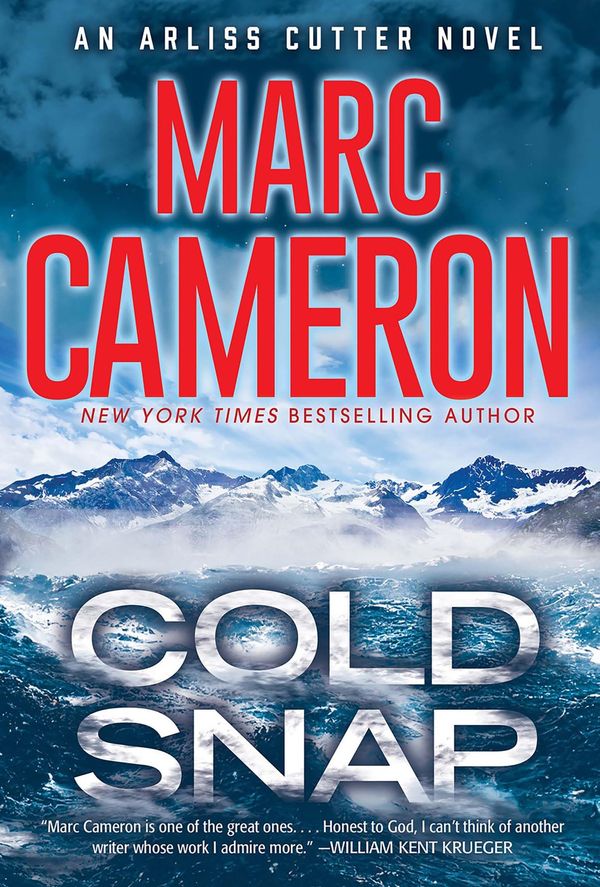 Cold Snap Book Cover