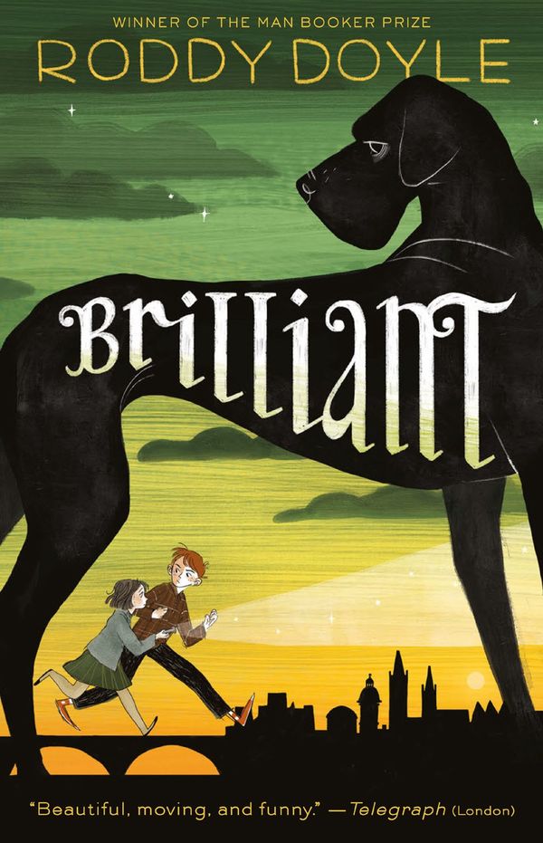 Brilliant Book Cover