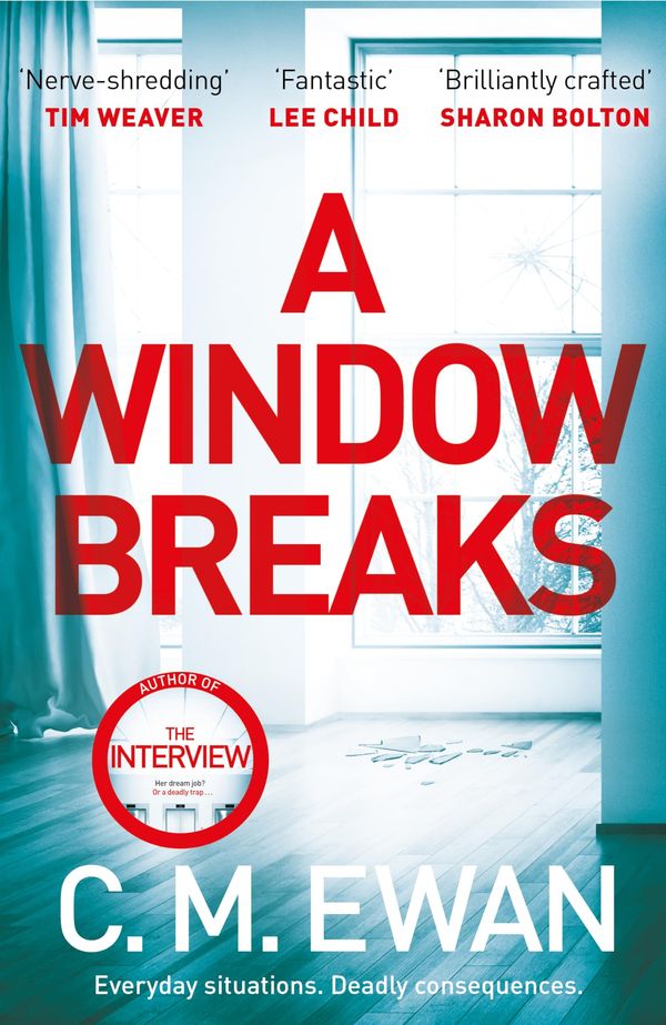 A Window Breaks Book Cover