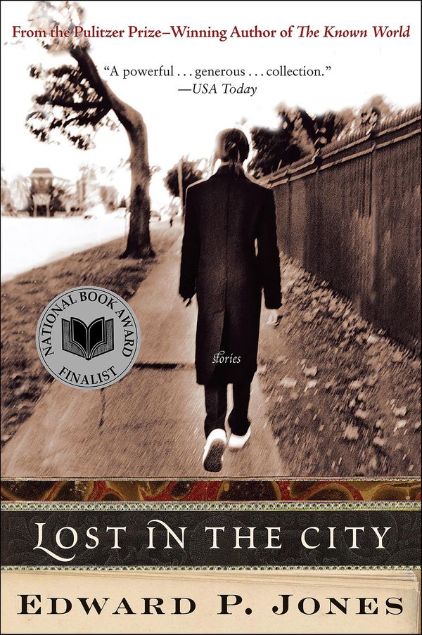 Lost in the City Book Cover