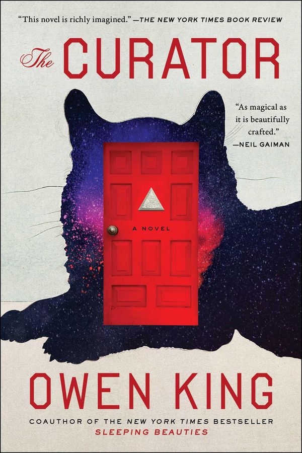 The Curator Book Cover