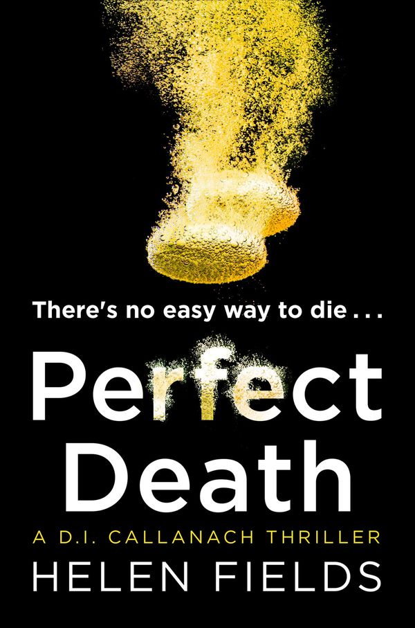 Perfect Death Book Cover
