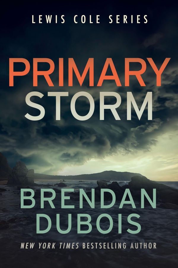 Primary Storm Book Cover