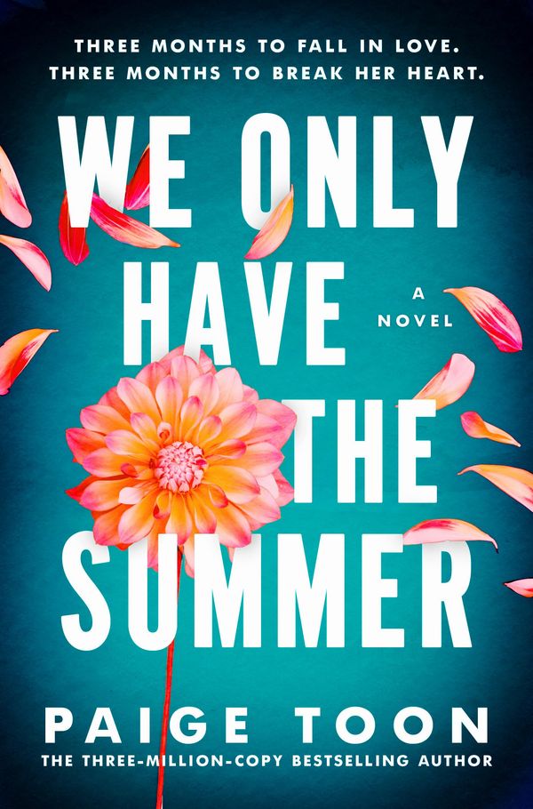 We Only Have the Summer Book Cover