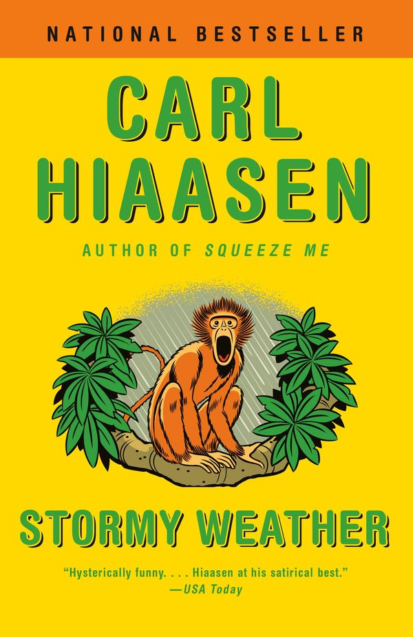 Stormy Weather Book Cover