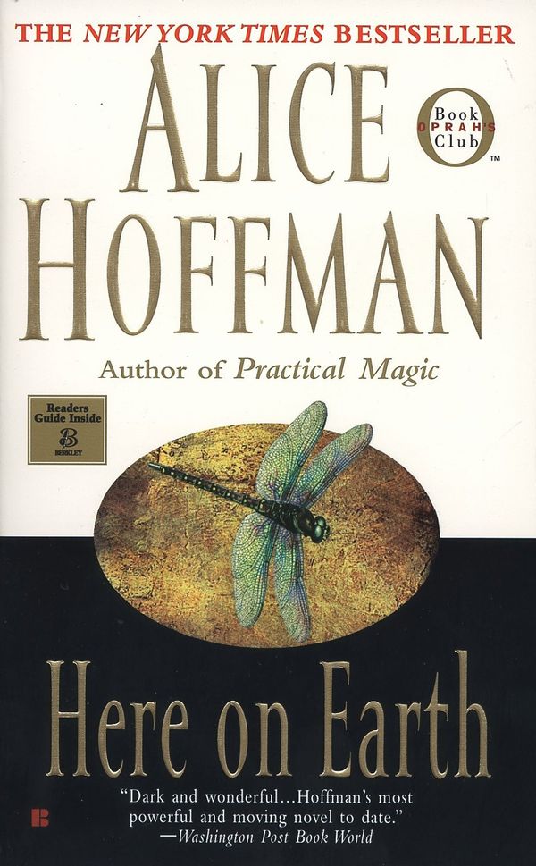 Here on Earth Book Cover