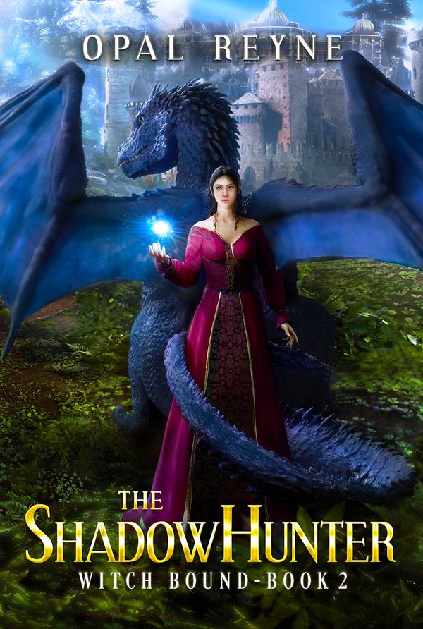 The ShadowHunter Book Cover