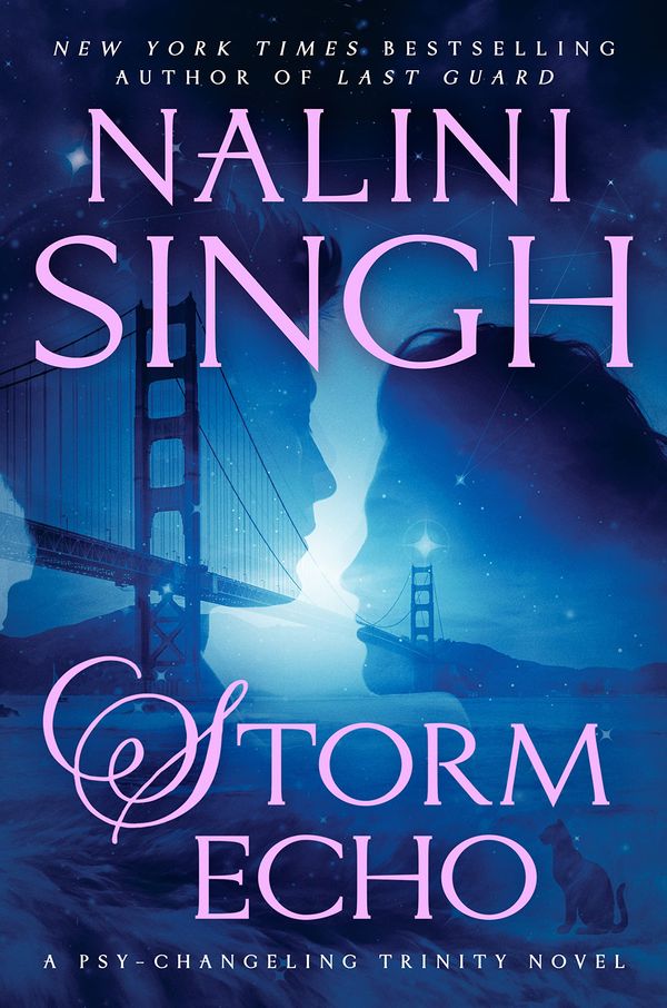Storm Echo Book Cover