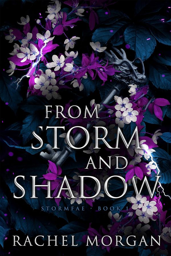 From Storm and Shadow Book Cover