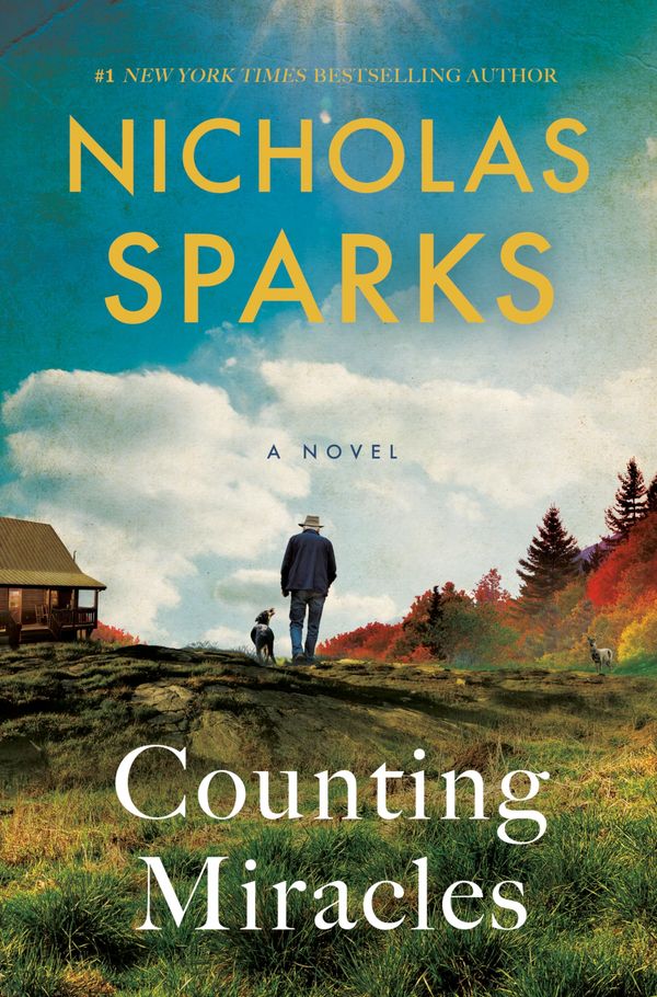 Counting Miracles Book Cover