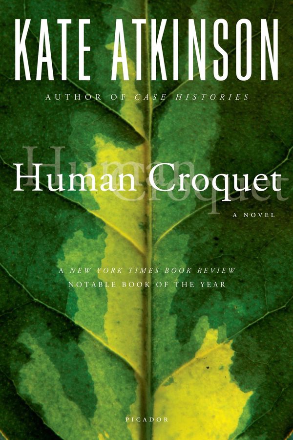 Human Croquet Book Cover