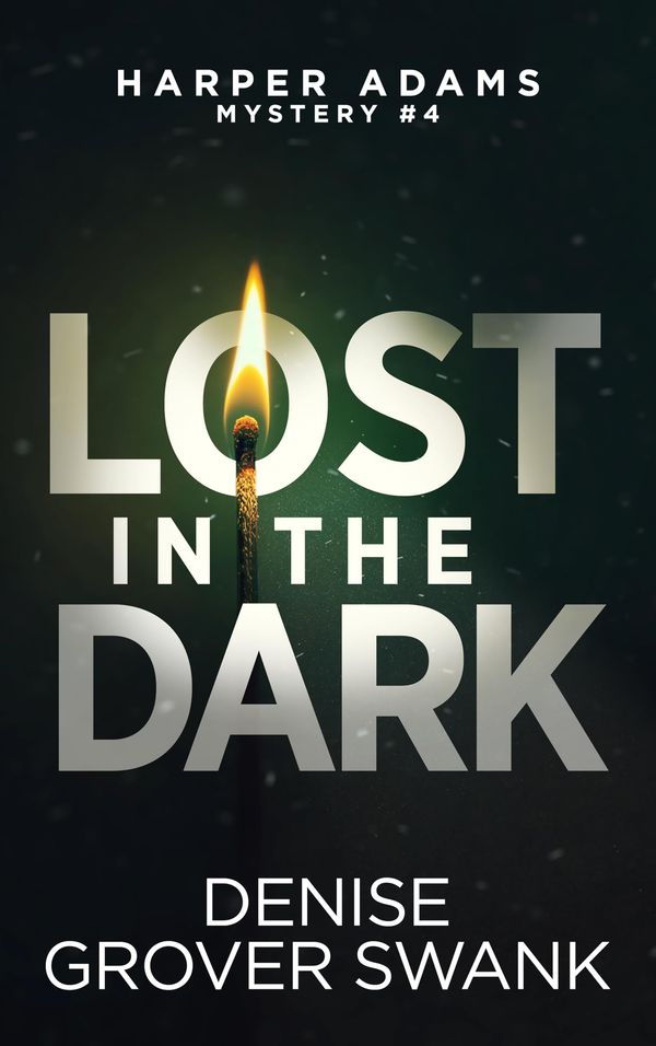 Lost in the Dark Book Cover