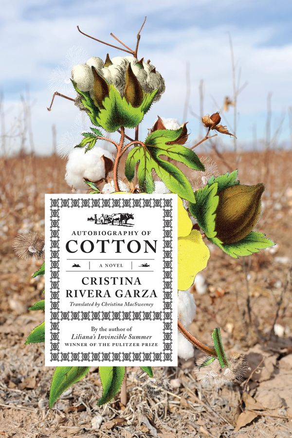 Autobiography of Cotton Book Cover