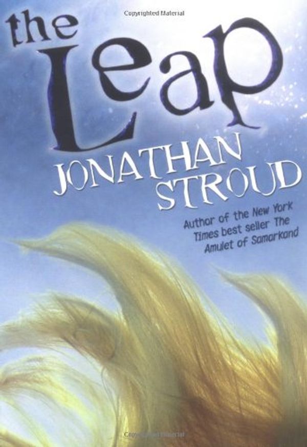 The Leap Book Cover