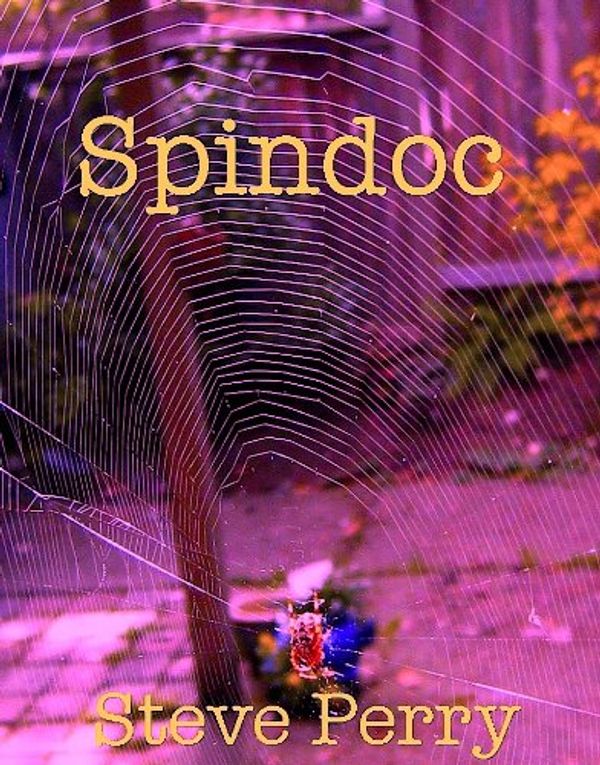 Spindoc Book Cover