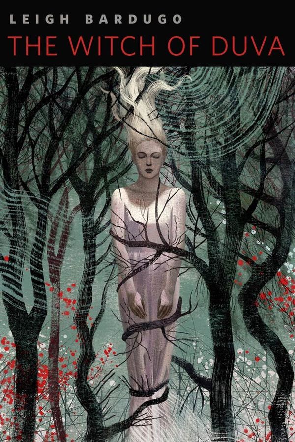 The Witch of Duva Book Cover