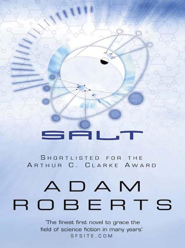 Salt Book Cover