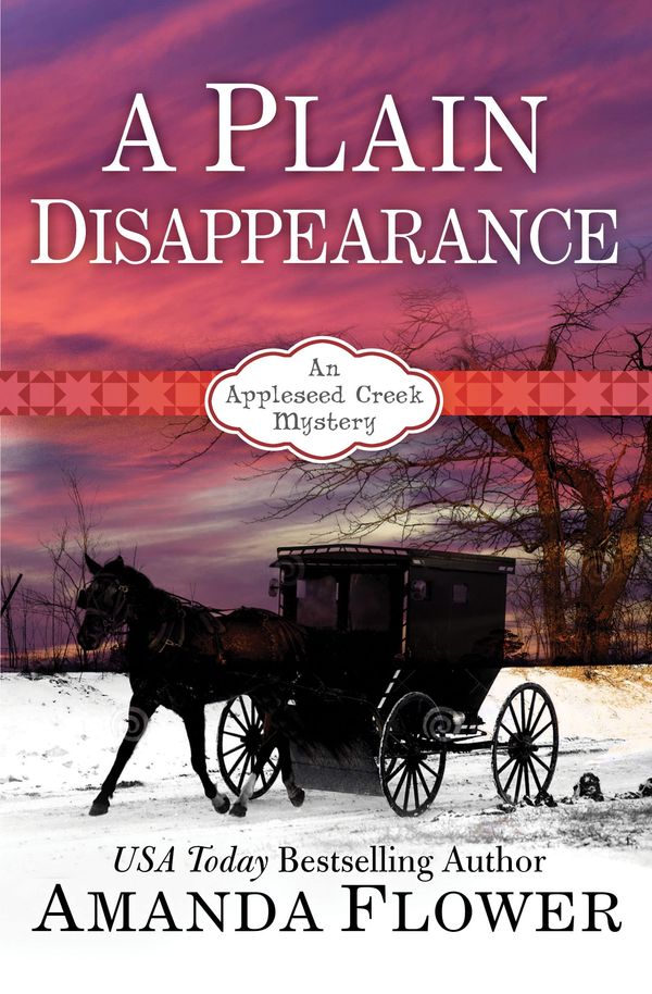 A Plain Disappearance cover