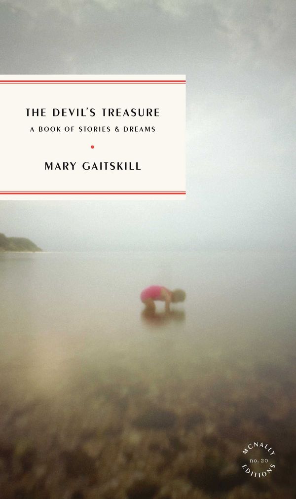 The Devil's Treasure Book Cover