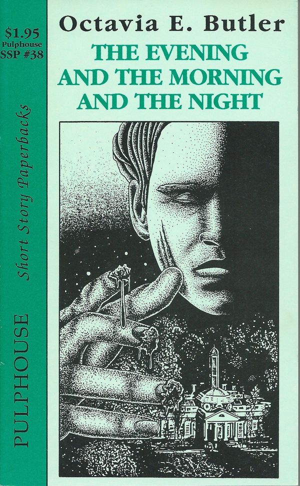 The Evening and The Morning and The Night Book Cover
