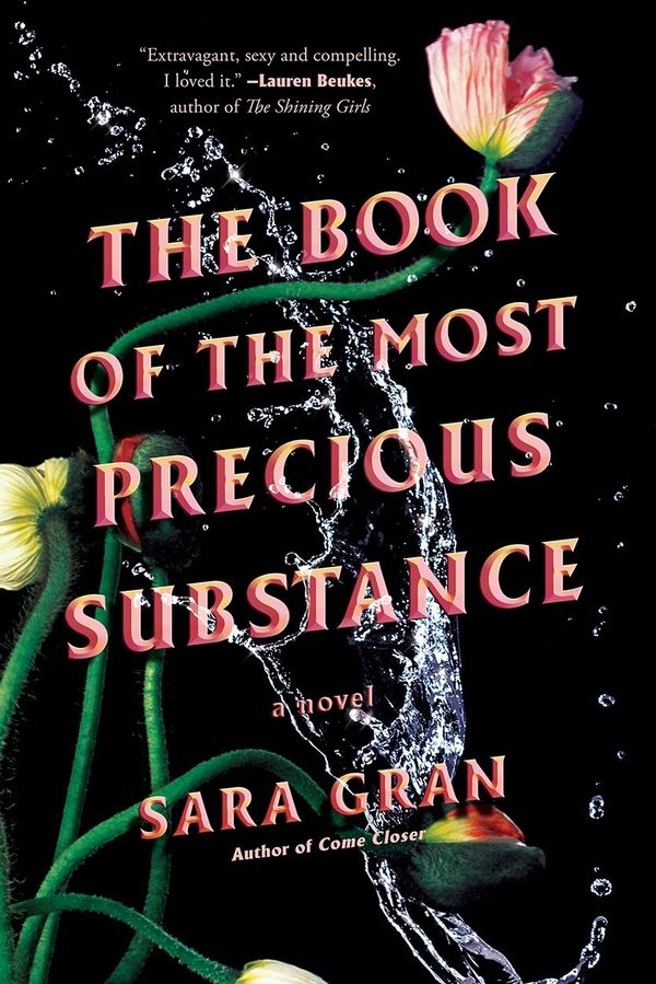 The Book of the Most Precious Substance Book Cover