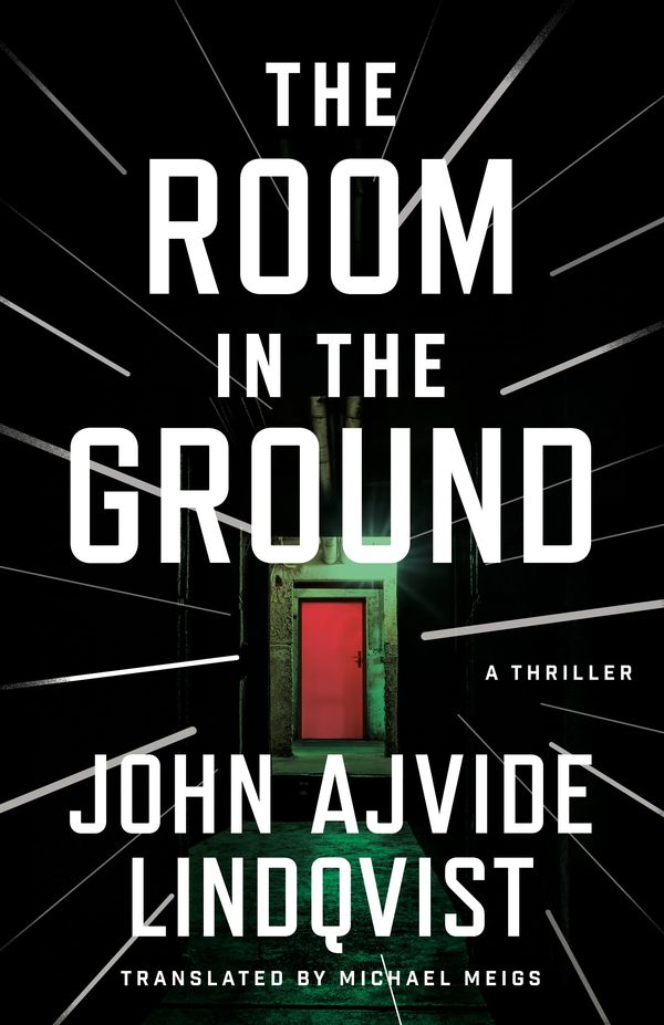The Room in the Ground Book Cover