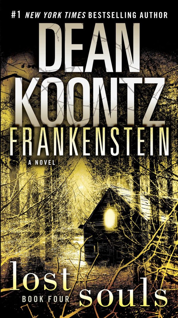 Lost Souls Book Cover