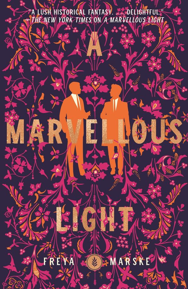 A Marvellous Light Book Cover